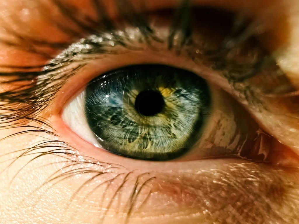 Iris Complexity, from Eyes: How Evolution Learned to See