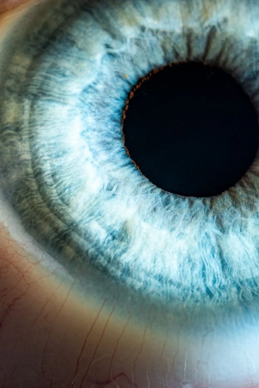 Blue Eye Textures, from Eyes: How Evolution Learned to See