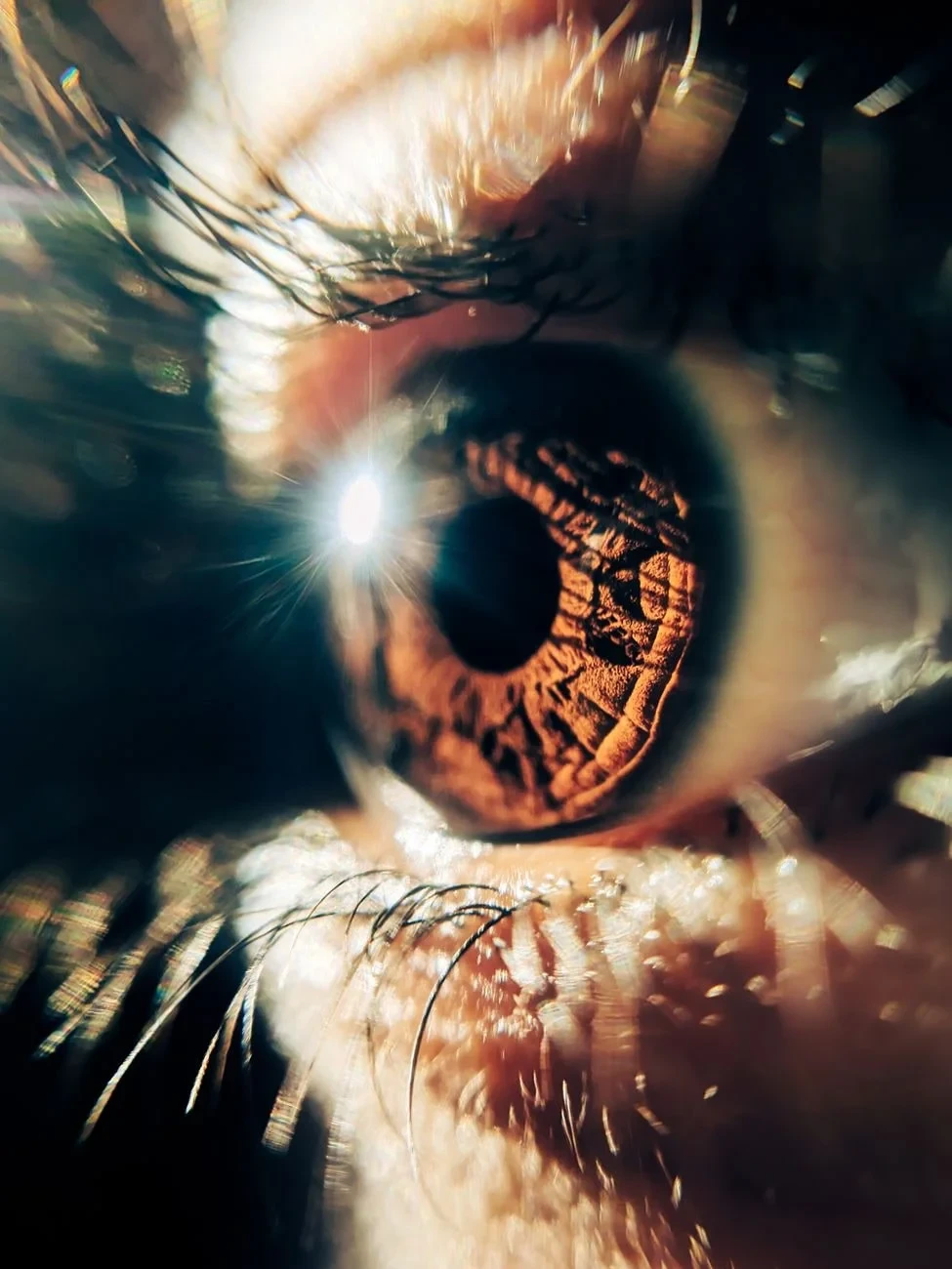 Reflection and Pattern, from Eyes: How Evolution Learned to See