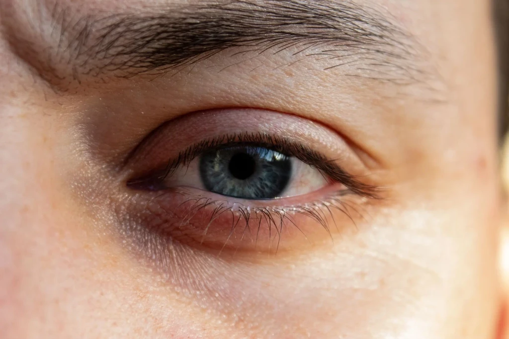 Blue Eye Detail, from Eyes: How Evolution Learned to See