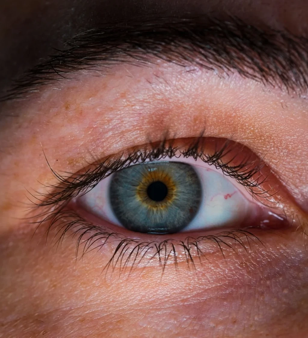 Colorful Iris Detail, from Eyes: How Evolution Learned to See