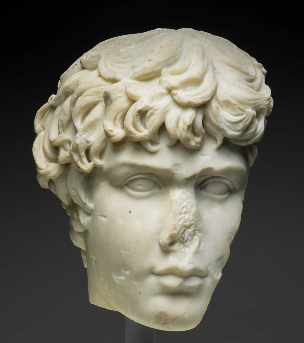 Portrait Head of Antinous, from How Greece and Rome Built an Ideal Body