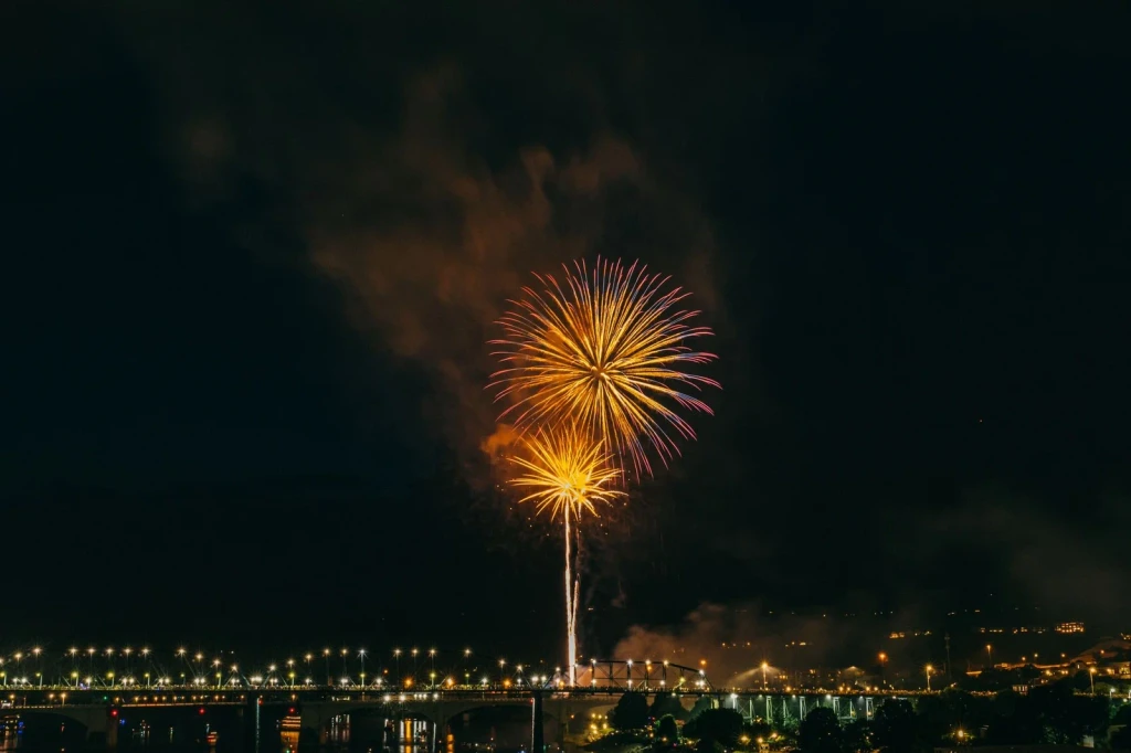 Fireworks Over Bridge, from Gunpowder Redrew Every Border