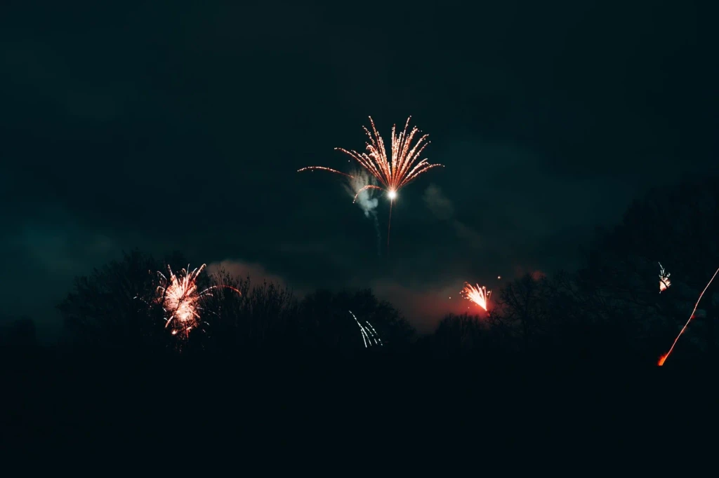 Fireworks Over Trees, from Gunpowder Redrew Every Border