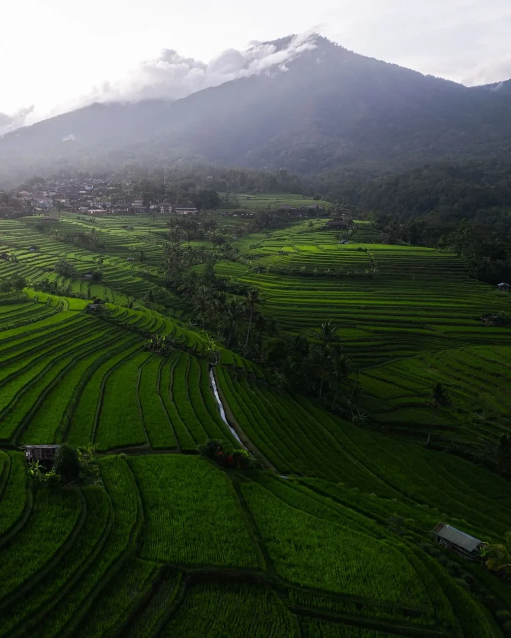Mountain and Field, from Half the World Eats Rice
