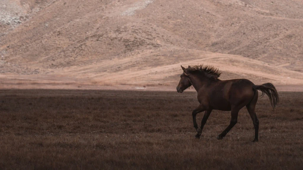 Solitary Flight, from The Horse That Carried History