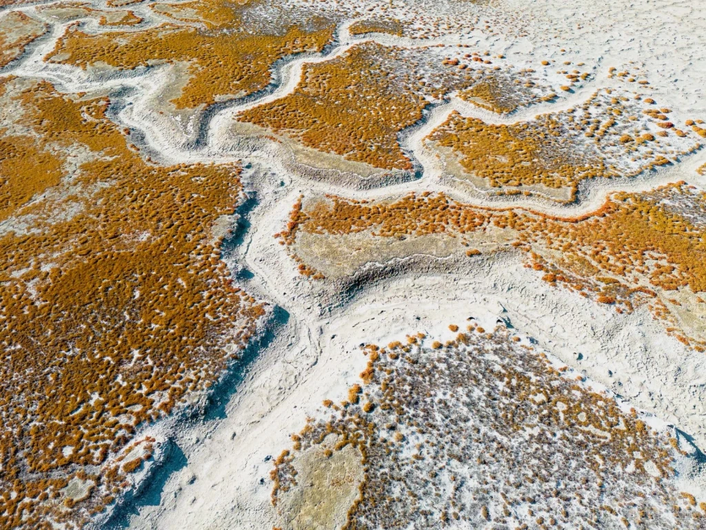 Textured Desert Formations, from How Salt Built Cities