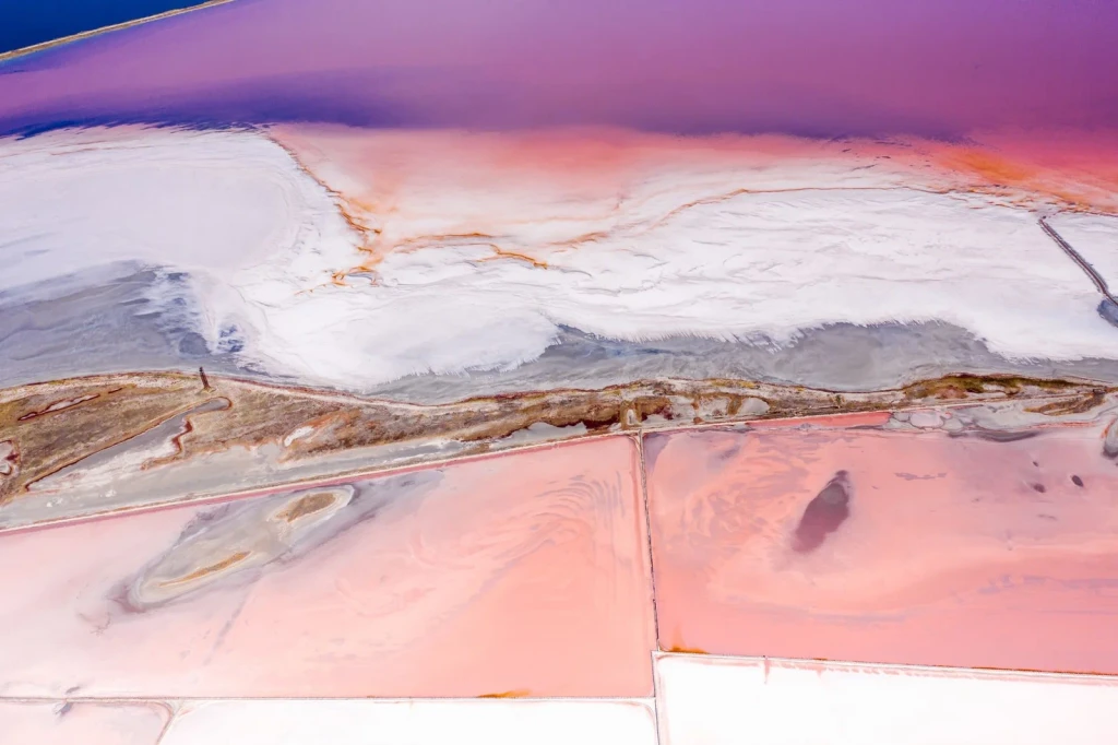 Variations in Pink, from How Salt Built Cities