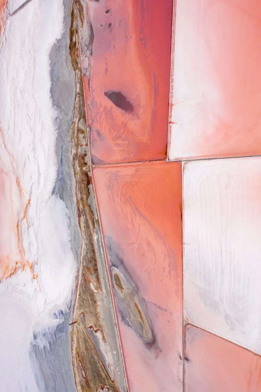 Abstract Pink Patterns, from How Salt Built Cities