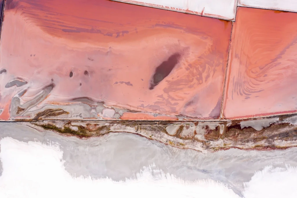 Pink Salt Pans, from How Salt Built Cities