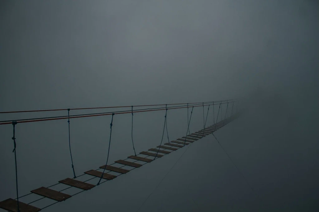 Spooky Suspension Bridge, from How We Learned to Bridge the Gap