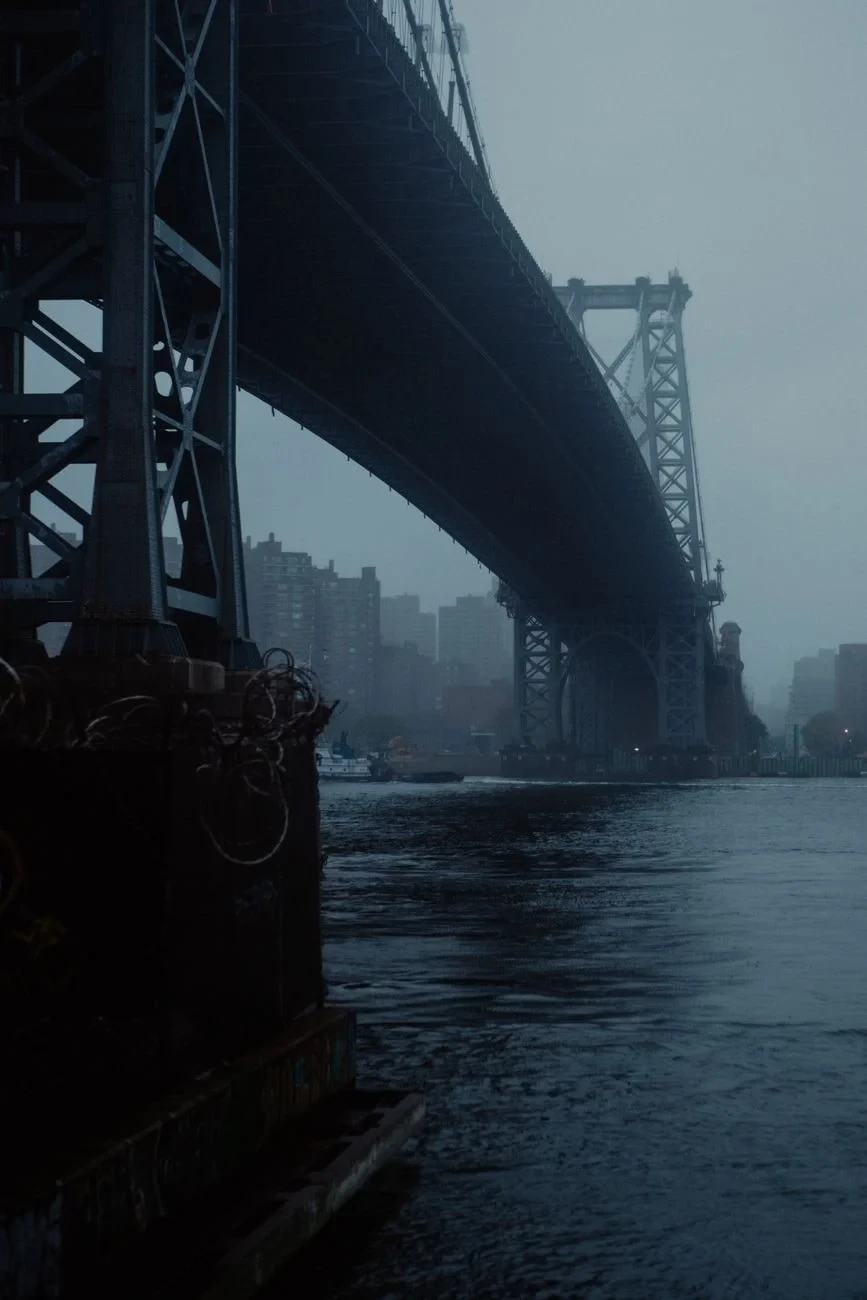 Suspension, from How We Learned to Bridge the Gap