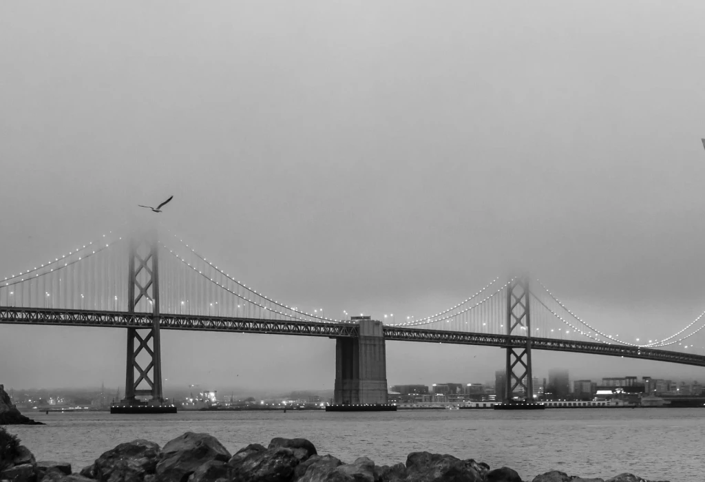 Structure in Gray, from How We Learned to Bridge the Gap
