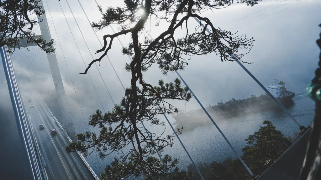 Misty Morning Passage, from How We Learned to Bridge the Gap