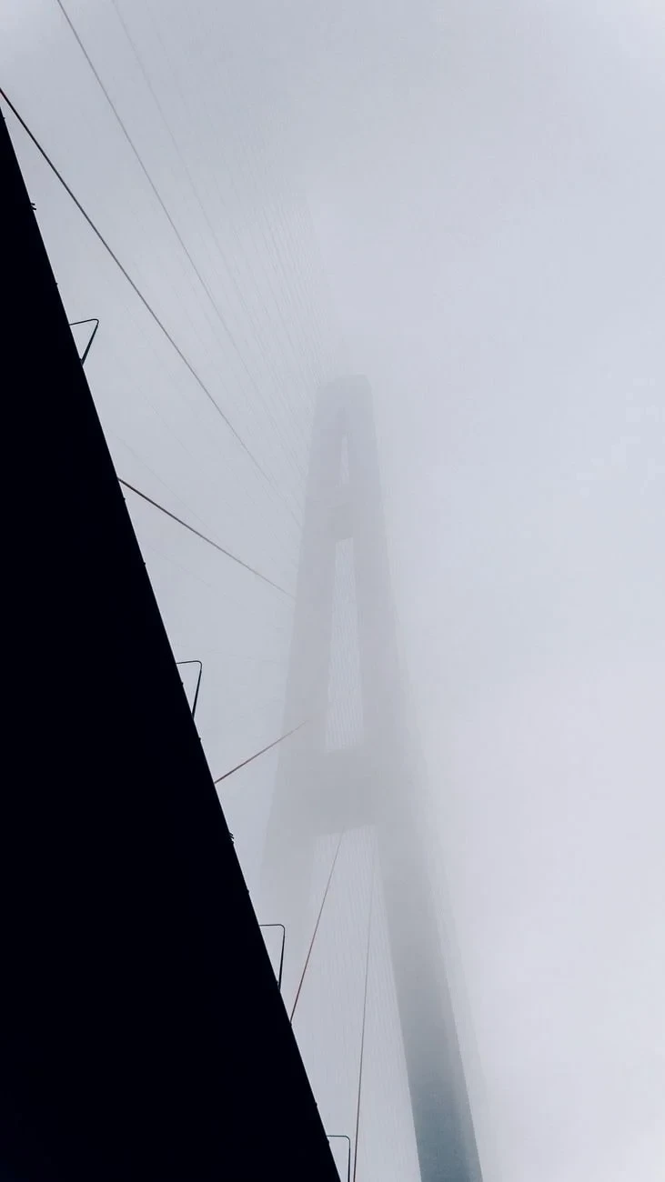 Dramatic Fog, from How We Learned to Bridge the Gap