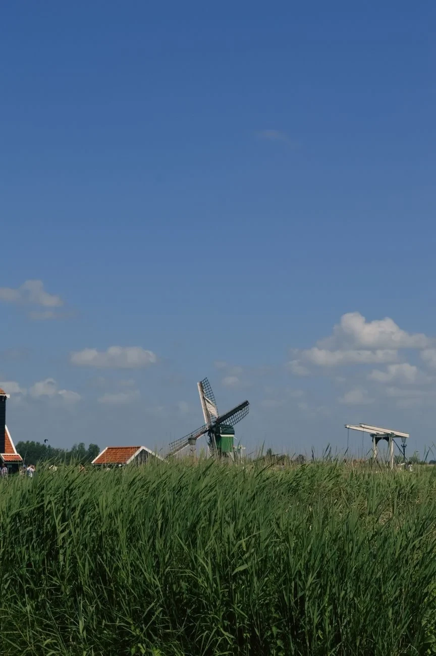 Windmills and Fields, from How Windmills Turned Air into Bread