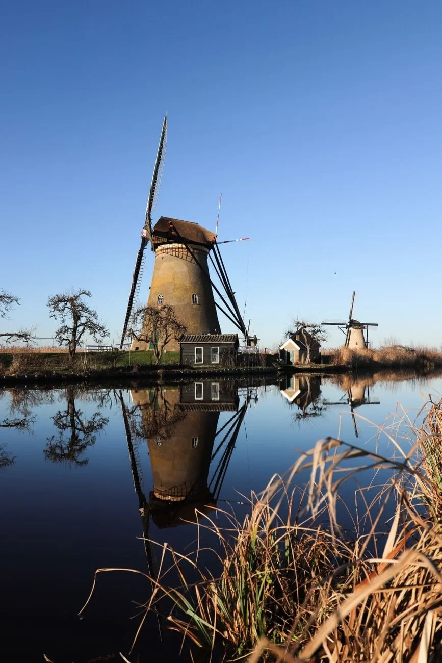 Reflection of Labor, from How Windmills Turned Air into Bread