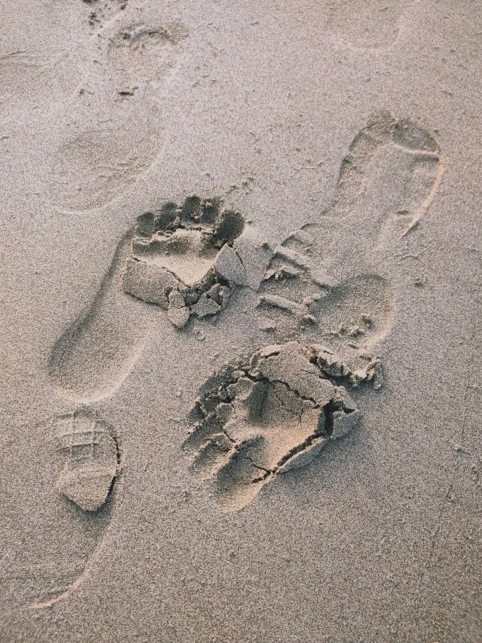 Sandy Paths, from Human Migration: Walking Out of Africa