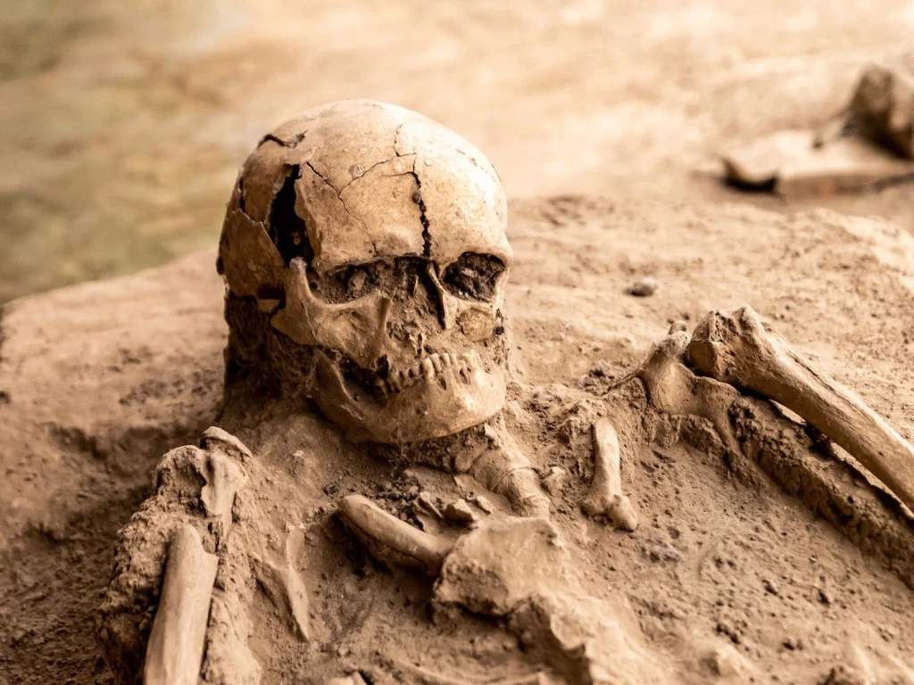 Remains of Time, from Human Migration: Walking Out of Africa