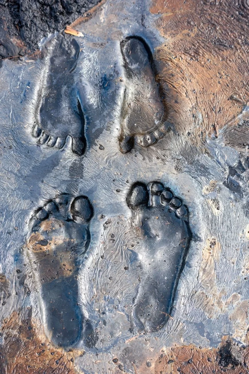 Pitch Lake Impressions, from Human Migration: Walking Out of Africa