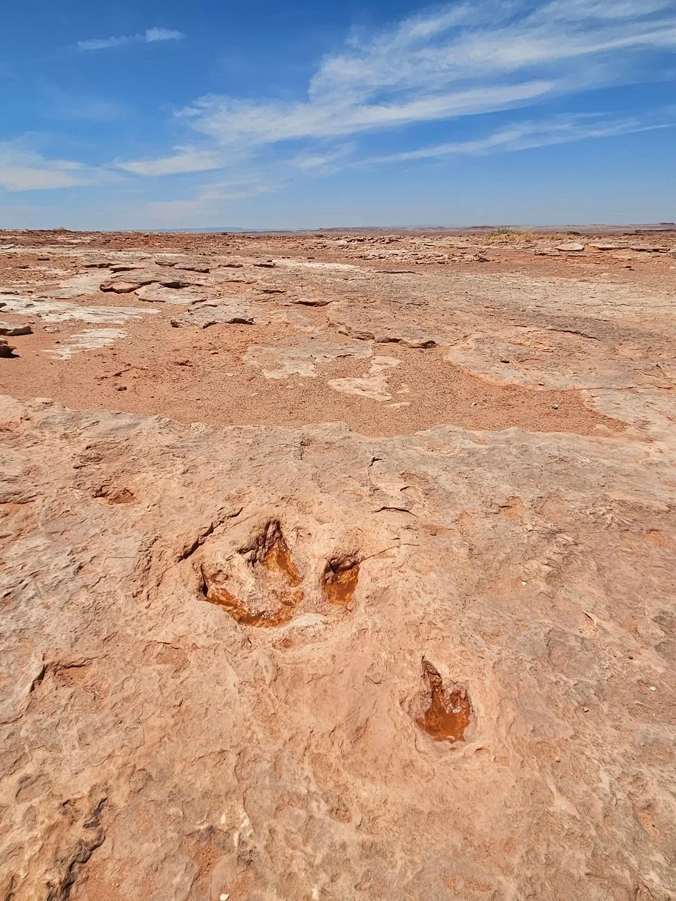 Ancient Footprint, from Human Migration: Walking Out of Africa