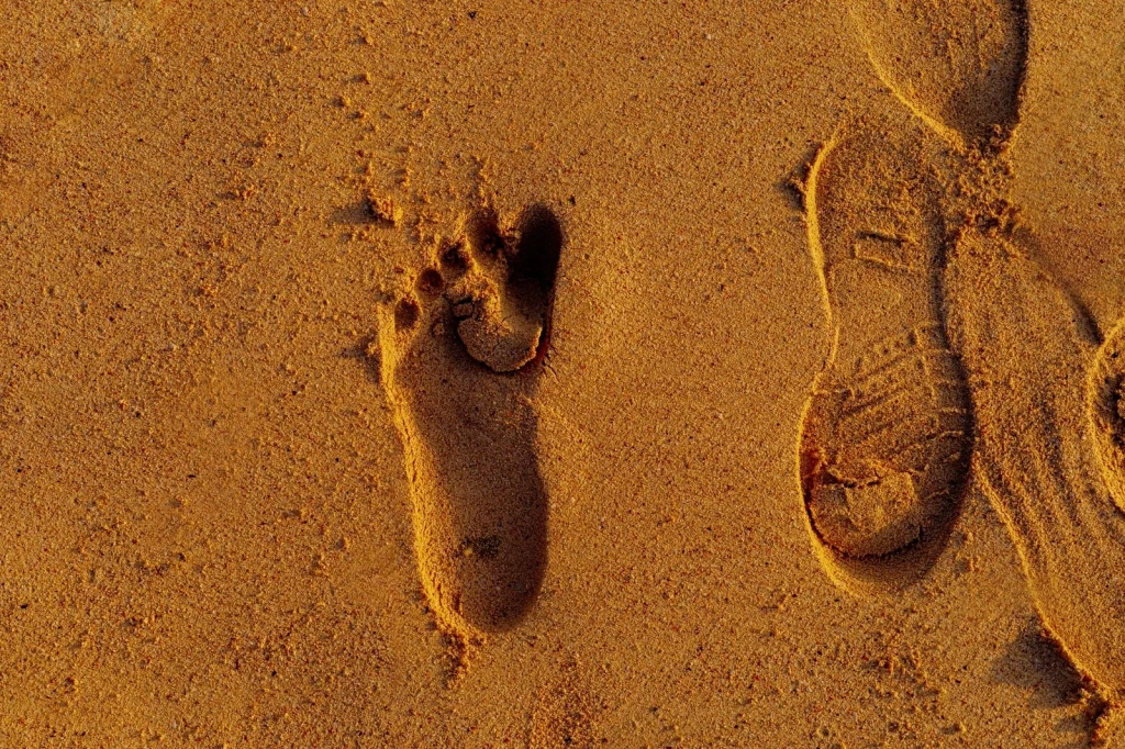 Beach Traces, from Human Migration: Walking Out of Africa
