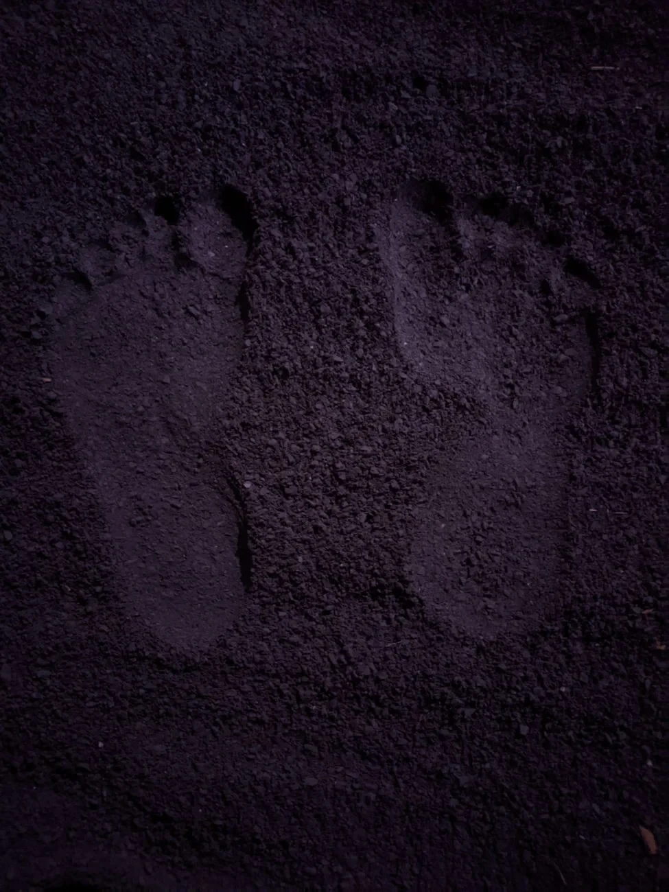 Night Footprints, from Human Migration: Walking Out of Africa