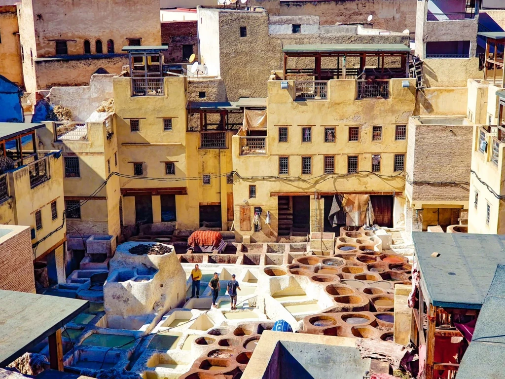 Tannery from Above, from Leather: A Skin Given a Second Life