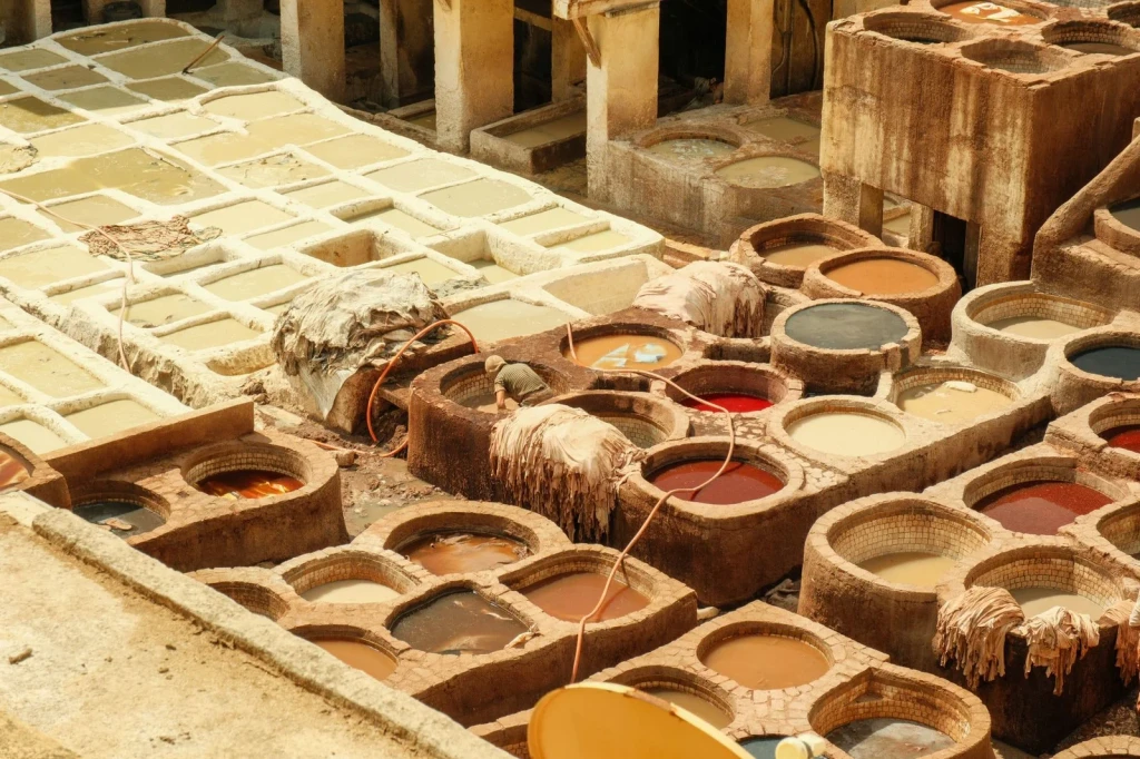 Dye and Light, from Leather: A Skin Given a Second Life