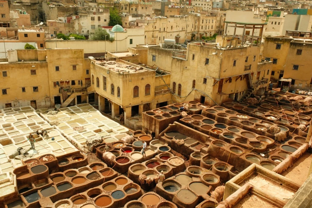 Vats in Full Color, from Leather: A Skin Given a Second Life