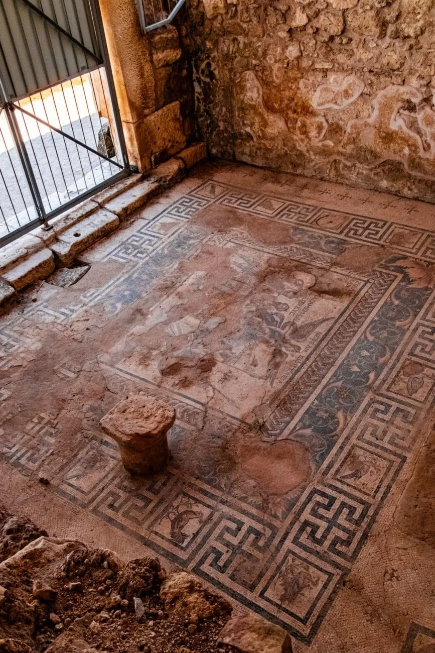 Preserved Fragment, from Look Closer. Every Mosaic Is a Stone.