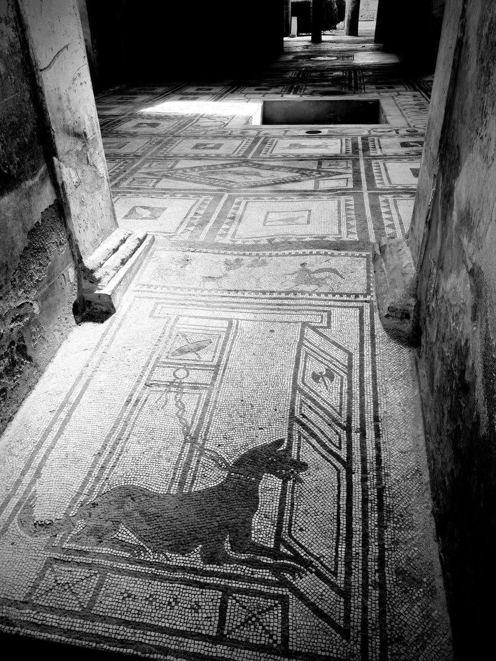 Roman Floors, from Look Closer. Every Mosaic Is a Stone.