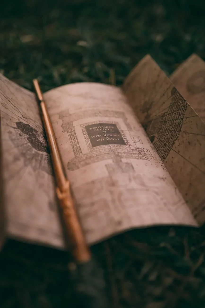Mystery and Adventure, from Maps: How We Drew What We Did Not Know