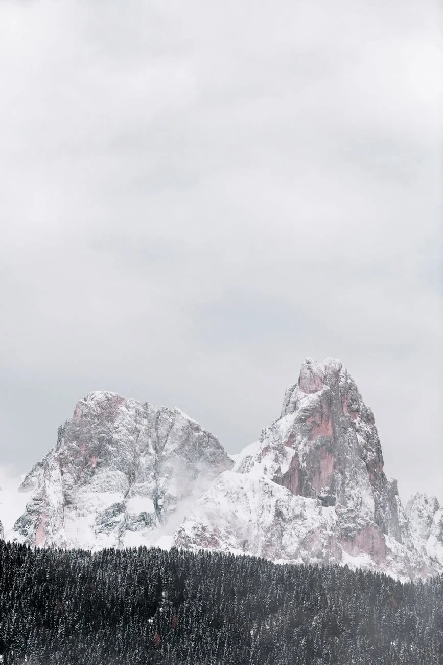 Forest and Peak, from Mountains