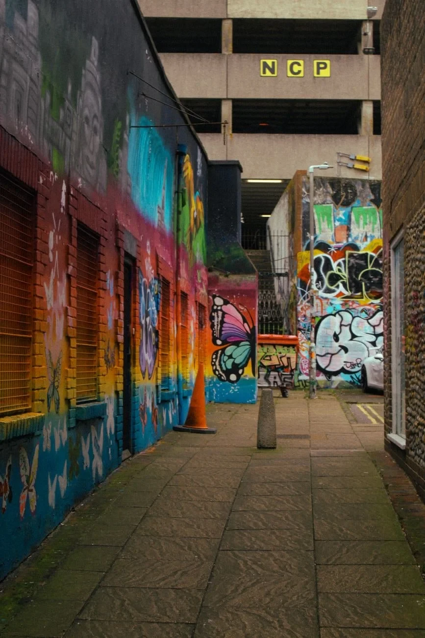 Brighton's Alley Gallery, from Murals: The Walls That Spoke to Everyone
