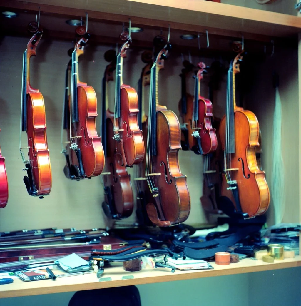 Workshop Collection, from Musical Instruments: How We Shaped Sound