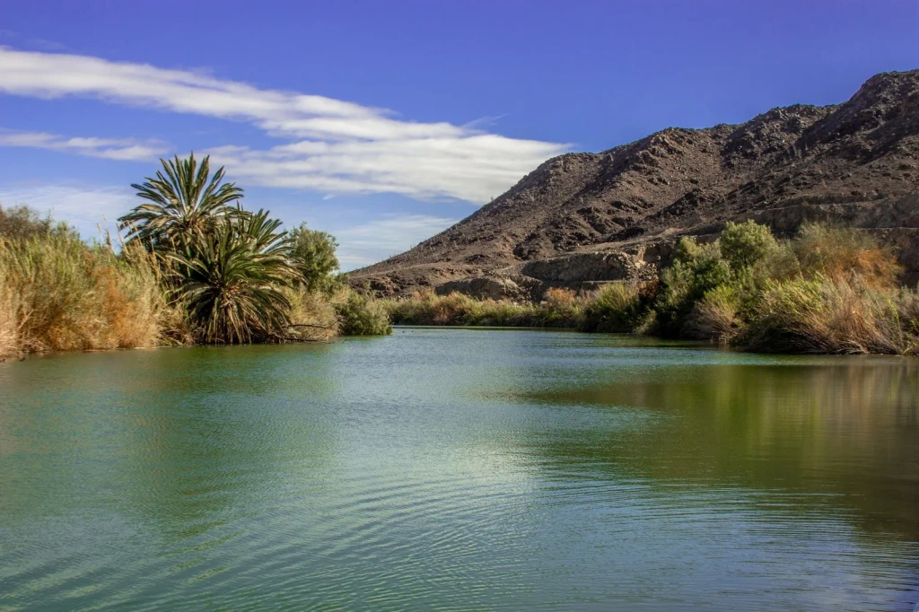 Hillside Oasis, from Oases: The Green Rooms in the Desert