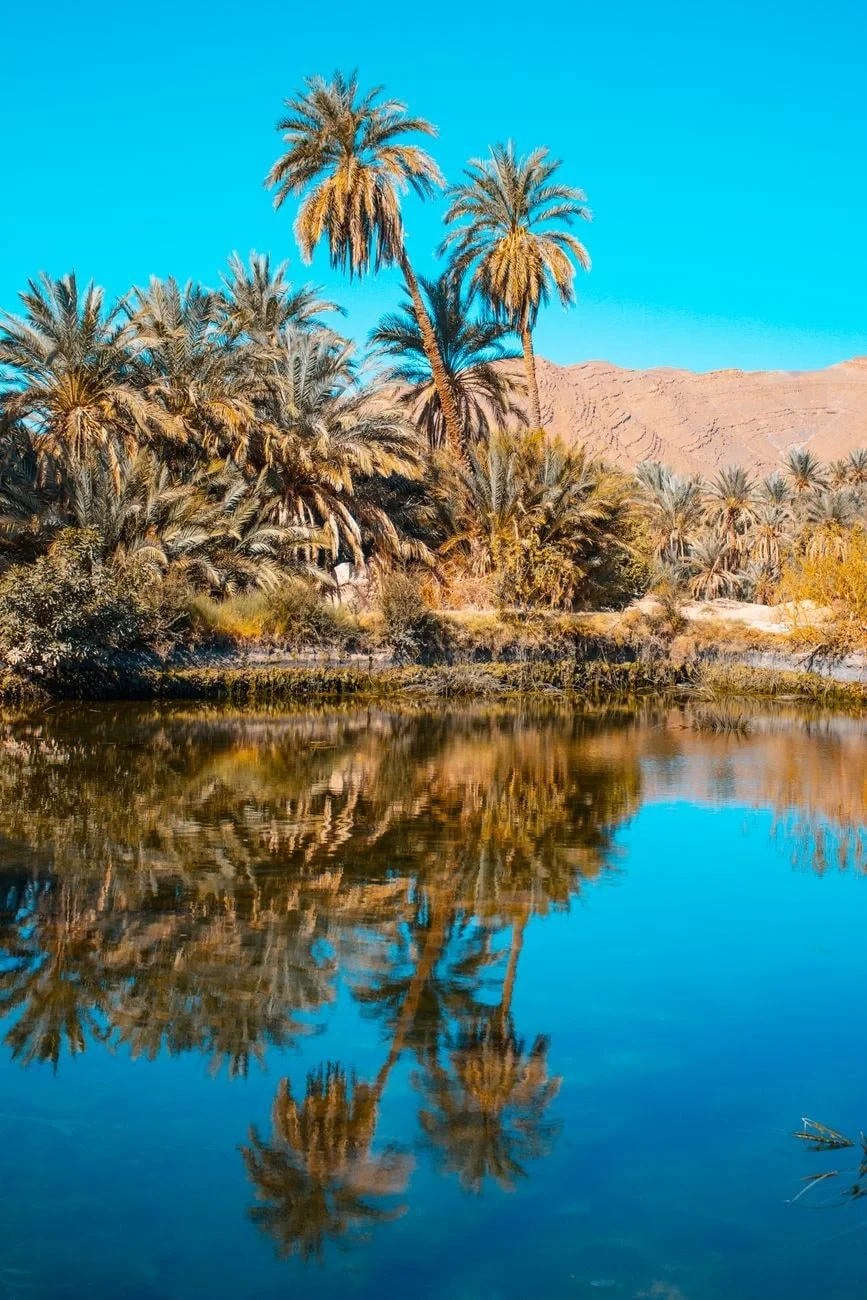 Mirrored Sanctuary, from Oases: The Green Rooms in the Desert