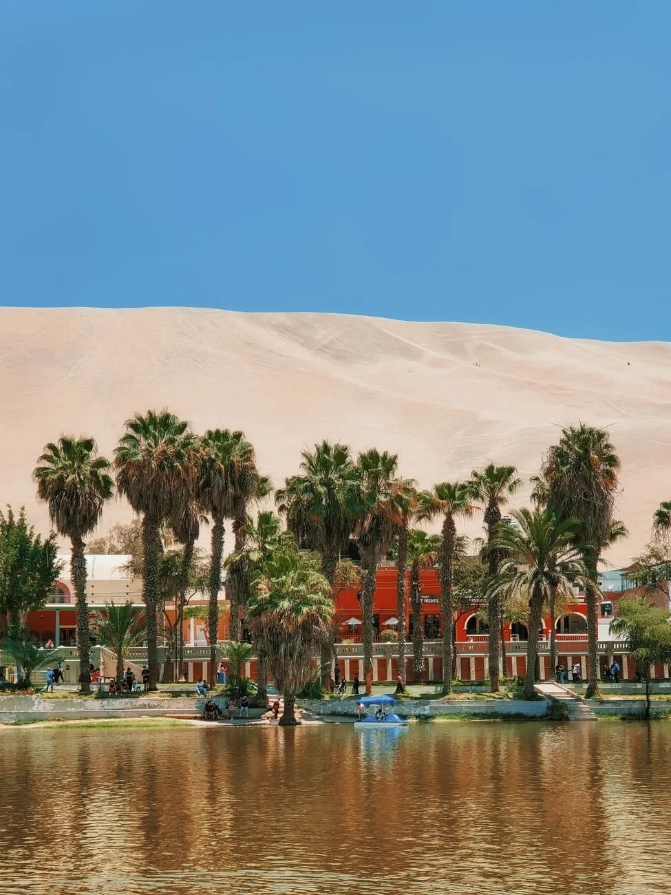 Resort Oasis, from Oases: The Green Rooms in the Desert