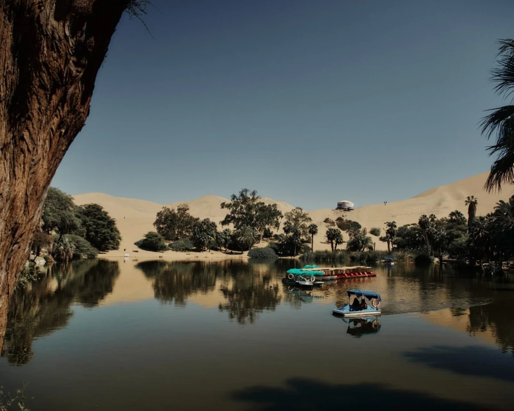 Vessels at Rest, from Oases: The Green Rooms in the Desert