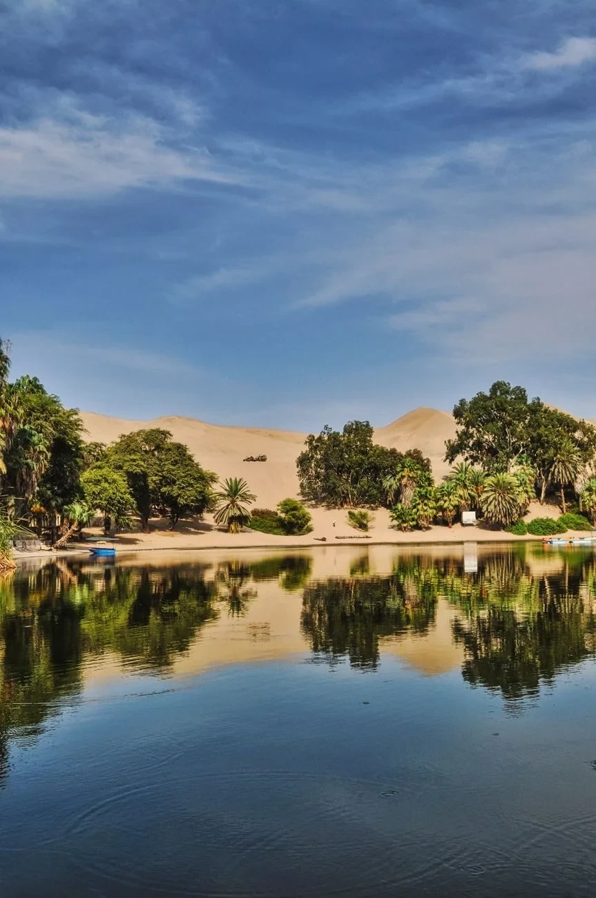 Sky and Sand Exchange, from Oases: The Green Rooms in the Desert