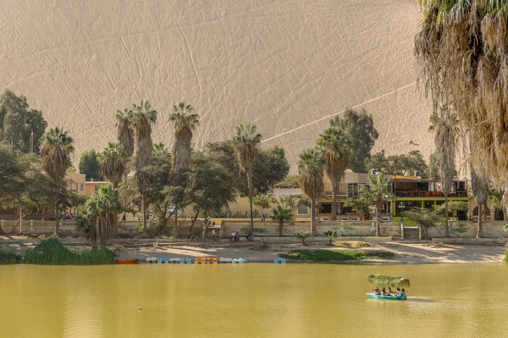 Green Refuge, from Oases: The Green Rooms in the Desert