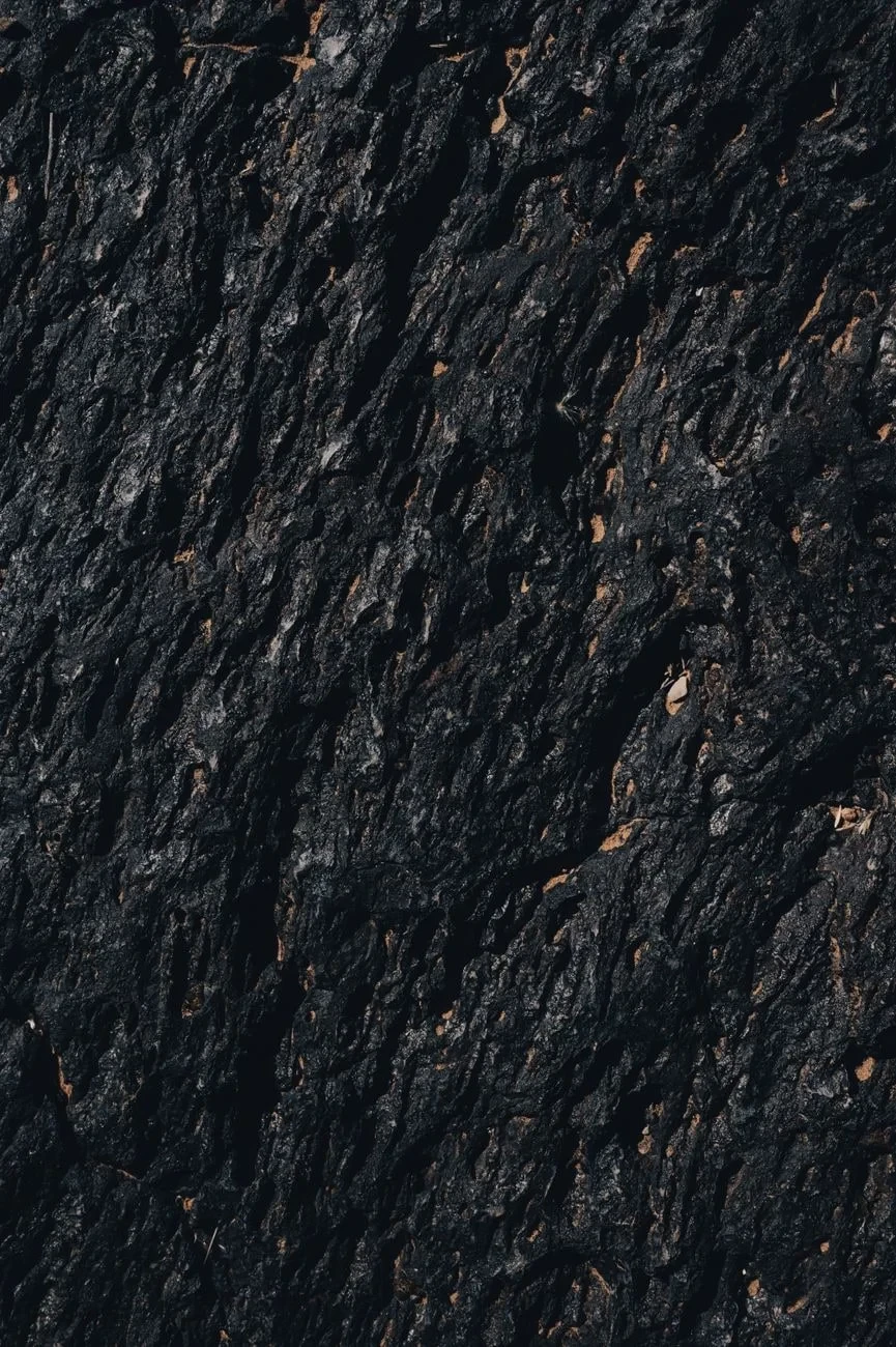 Stone's Surface, from Obsidian Cut Before Metal Existed