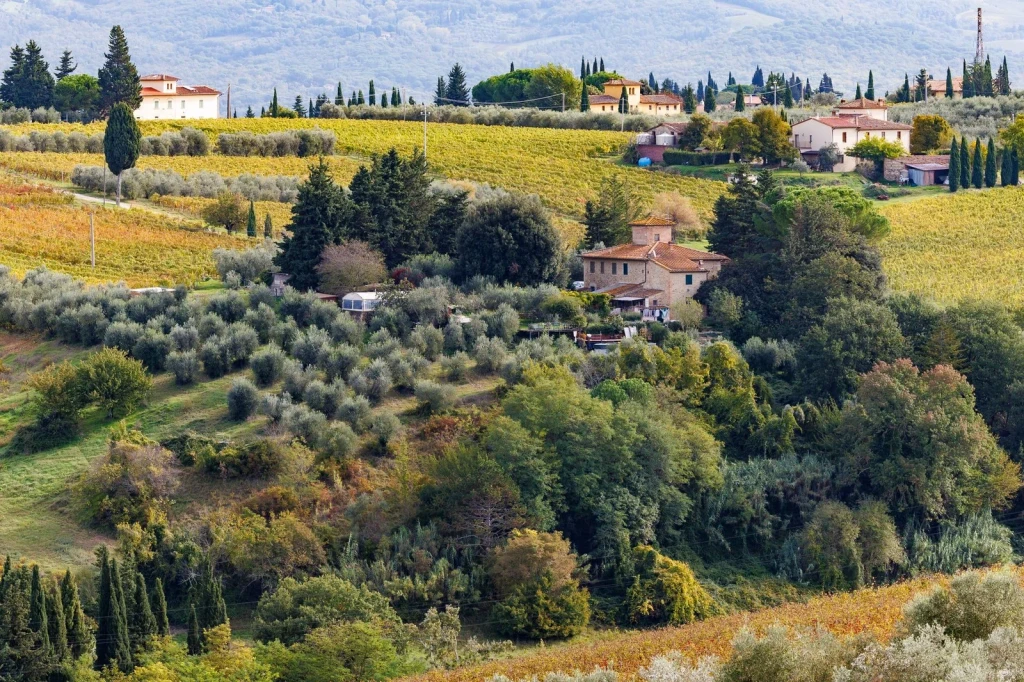 Tuscan Rolling Country, from Olive Oil: Liquid Gold of the Mediterranean