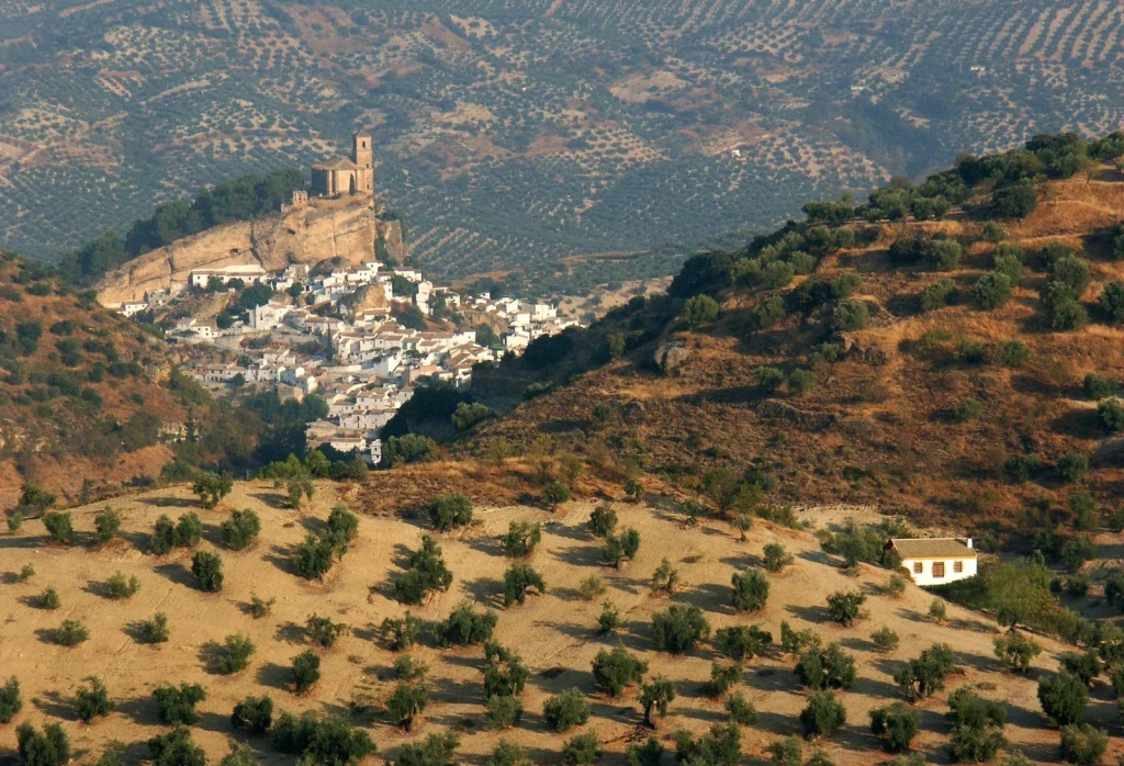 Andalusian Village Hillside, from Olive Oil: Liquid Gold of the Mediterranean