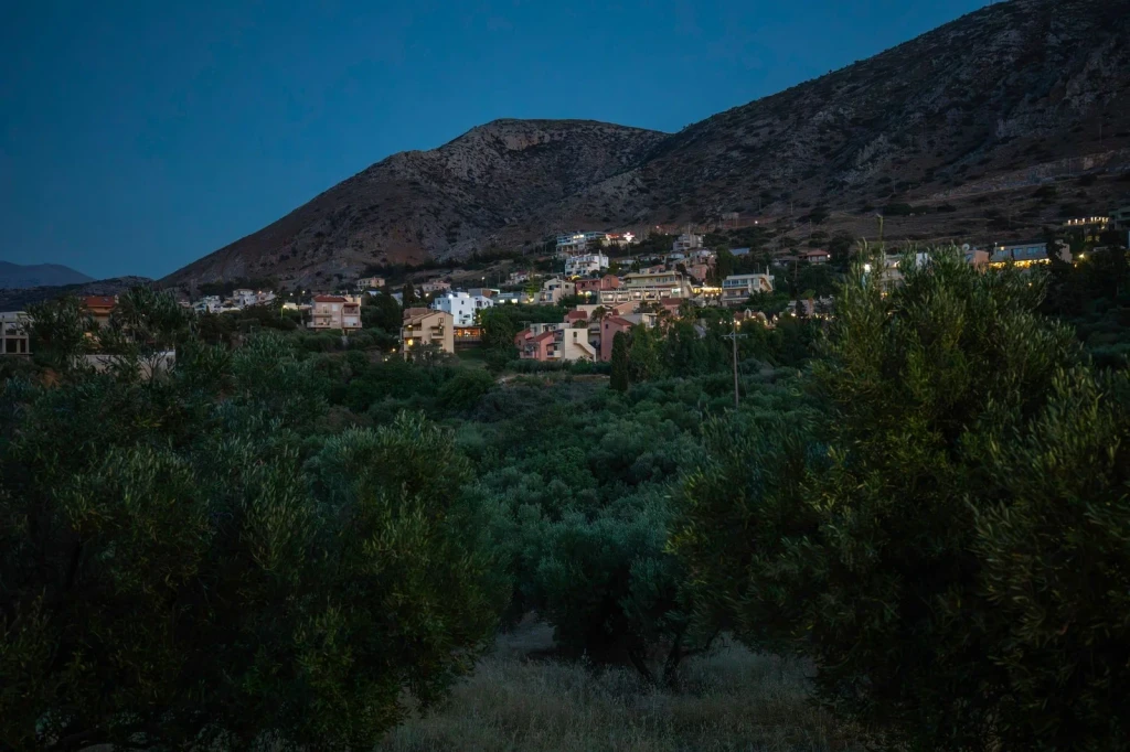 Village and Grove, from Olive Oil: Liquid Gold of the Mediterranean