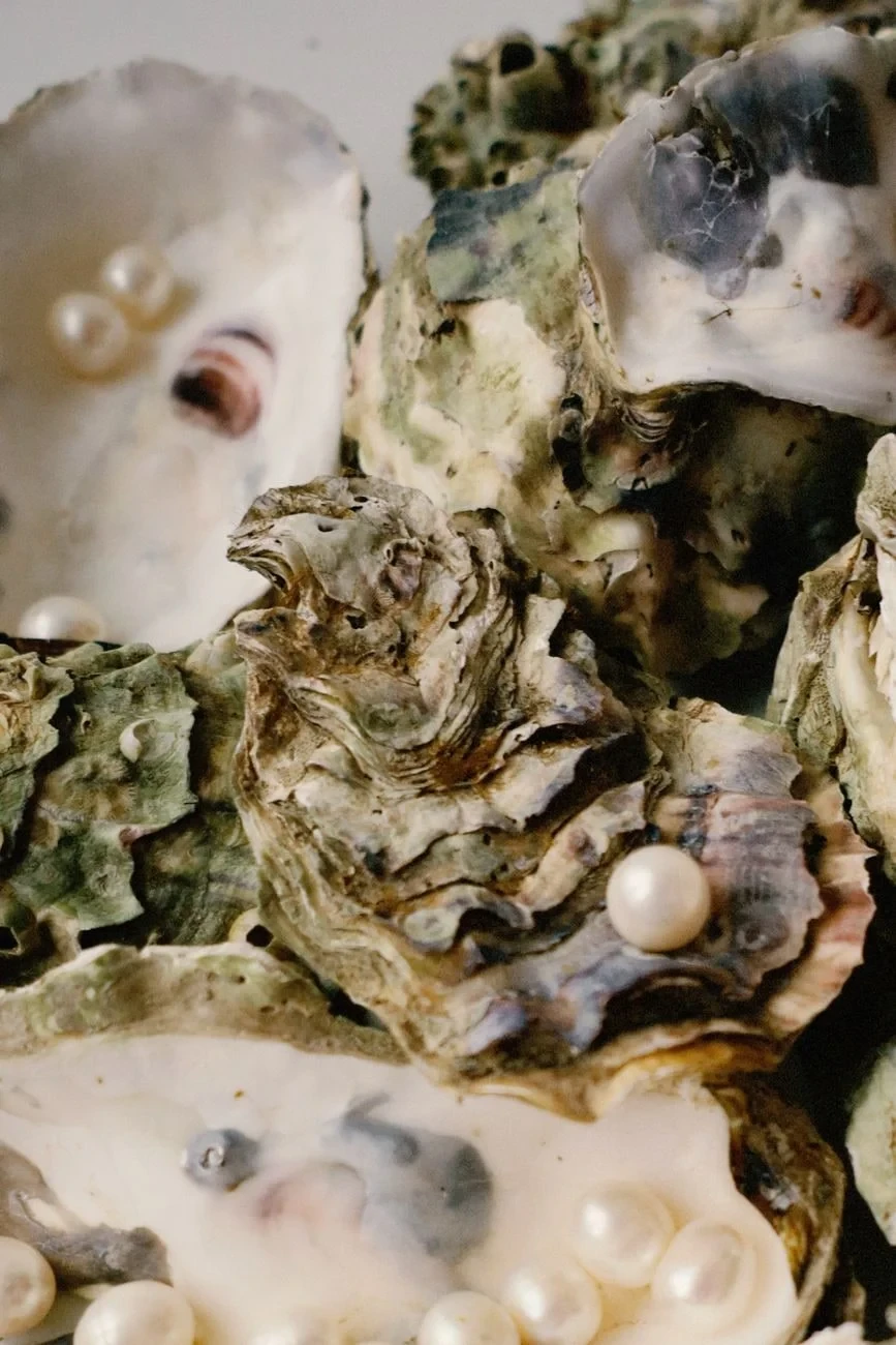 Oyster Shells and Pearls, from Pearls: The Gem an Animal Makes