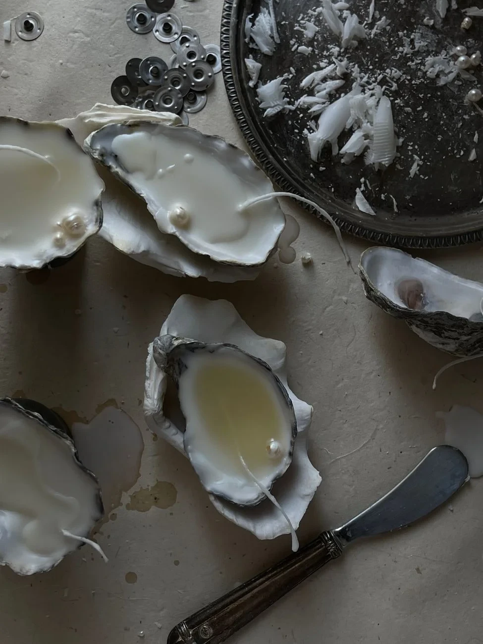 Oysters on Display, from Pearls: The Gem an Animal Makes