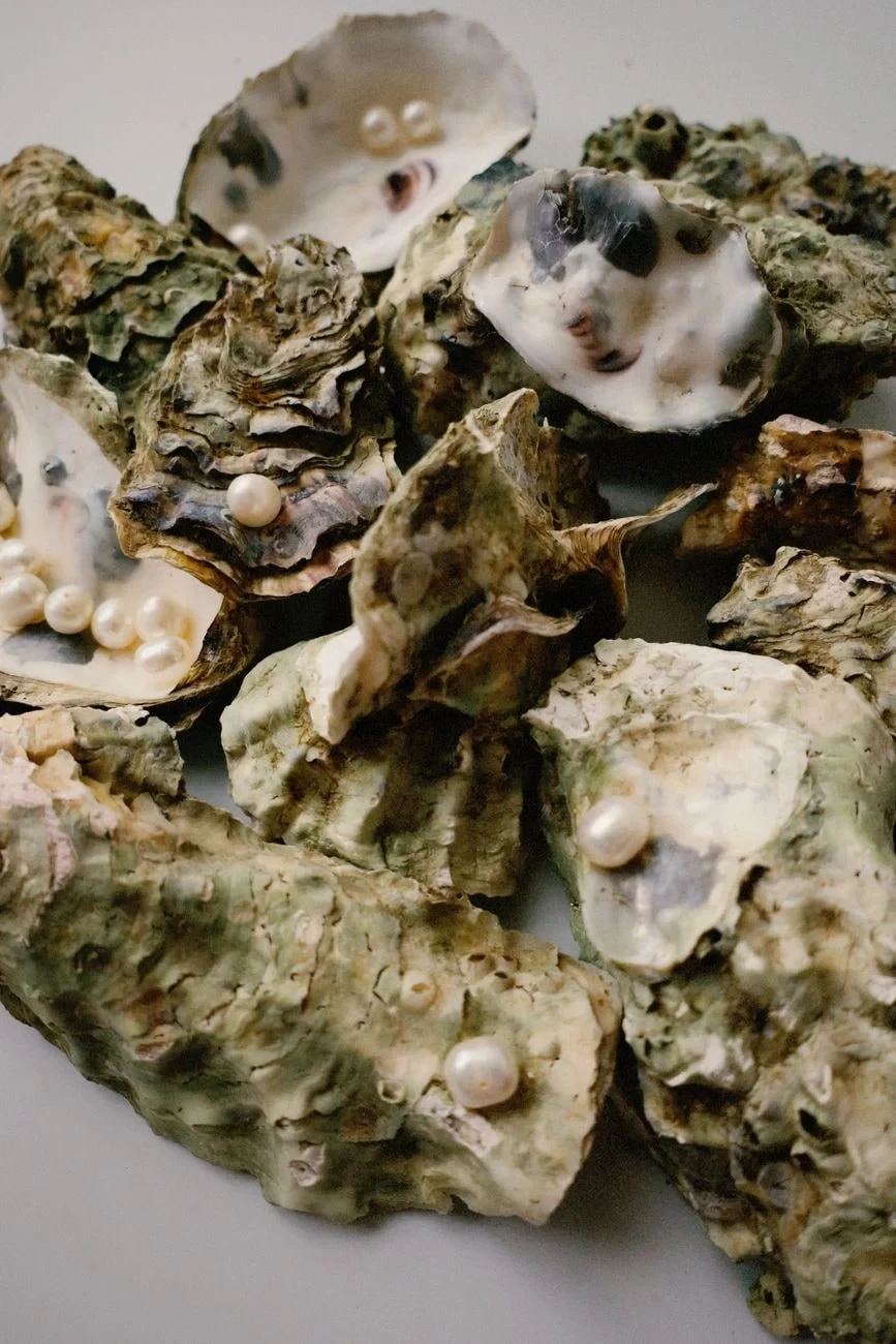 Pearl-Bearing Oysters, from Pearls: The Gem an Animal Makes
