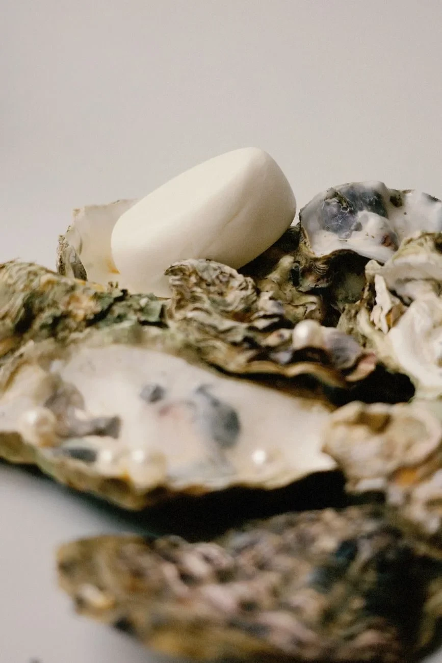 Soap and Shells, from Pearls: The Gem an Animal Makes